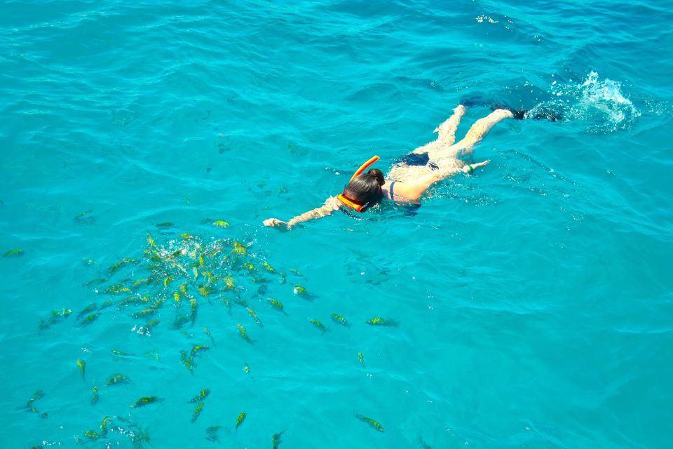 Montego Bay Catamaran Cruise and Snorkeling Tour - Cruising Montego Bay’s Coastline From the Front Nets