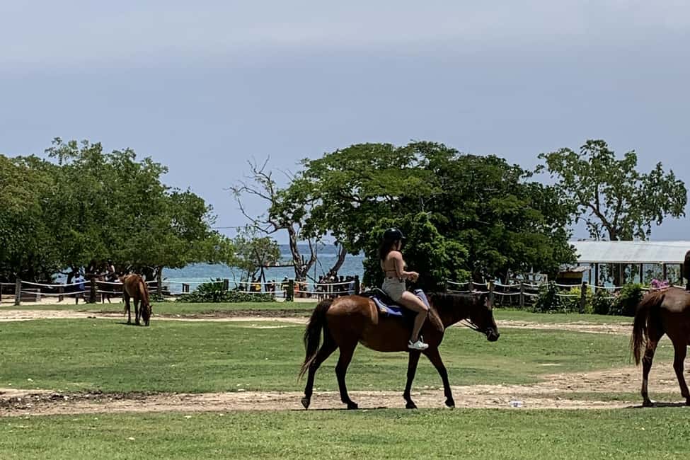 Montego Bay: Day Trip with Zipline, ATV, and Horseback Ride - A 5-hour private adventure with real transport comfort