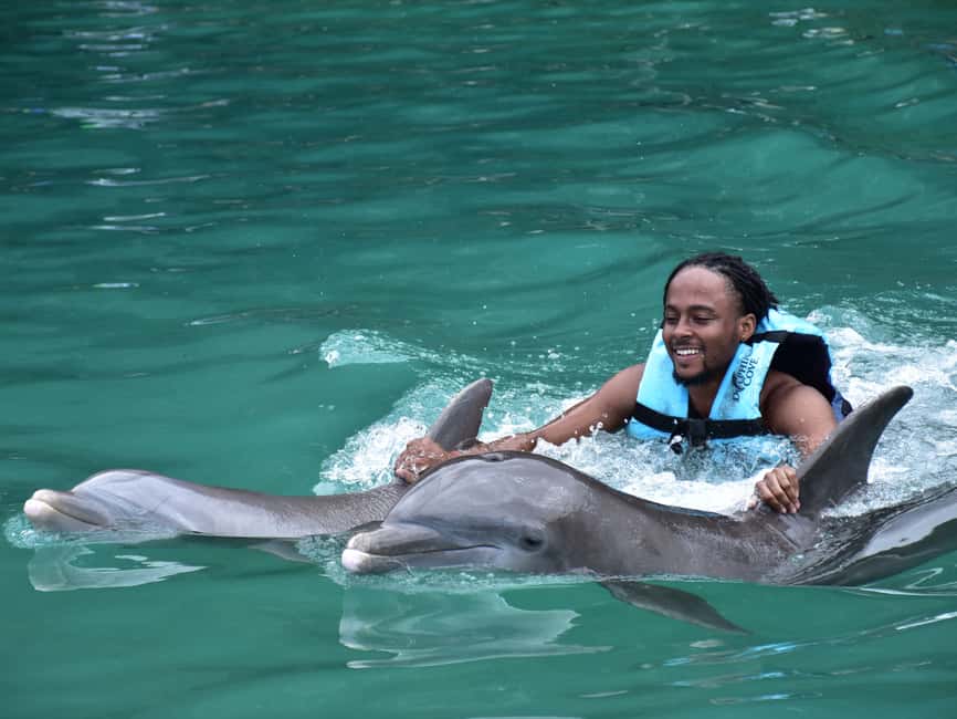 Montego Bay: Dolphin Cove Ocho Rios Day Trip - Key Highlights You’ll Care About
