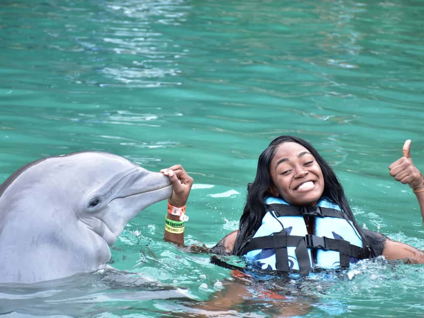 Montego Bay: Dolphin Cove Ocho Rios Day Trip - The Big Budget Question: Transportation vs. Dolphin Encounter Cost