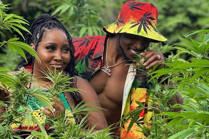 Montego Bay Exotic Herbs, Birds and Animals Interaction Tour - Key things to know before you go