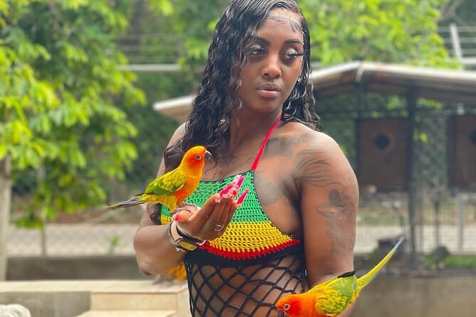 Montego Bay Exotic Herbs, Birds and Animals Interaction Tour - More than a zoo moment in Montego Bay
