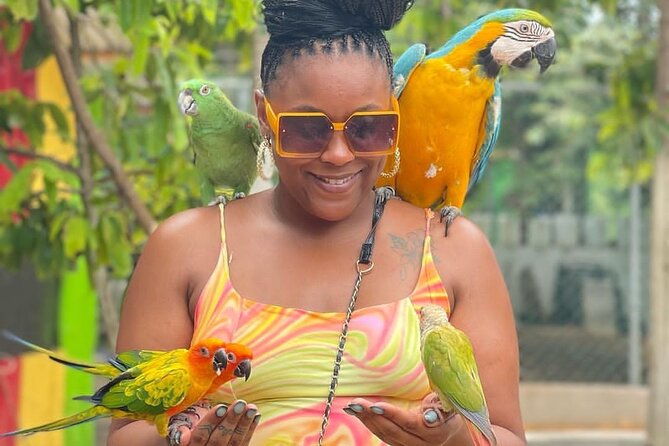 Montego Bay Exotic Herbs, Birds and Animals Interaction Tour - Bird feeding and animal interaction: parrots, rabbits, ducks, and the photo-friendly rhythm