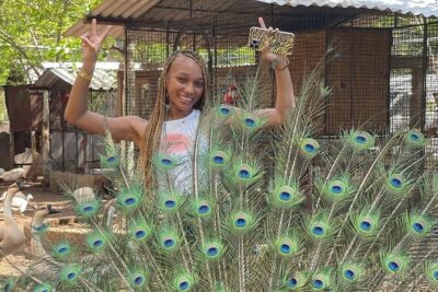 Montego Bay Exotic Herbs, Birds and Animals Interaction Tour - Getting to Ironshore: pickup, timing, and how the day flows