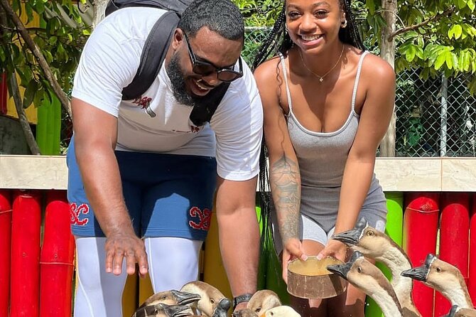 Montego Bay Exotic Herbs, Birds and Animals Interaction Tour - The herb and crop section: learning what you’re actually seeing