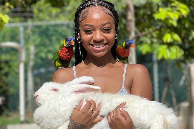 Montego Bay Exotic Herbs, Birds and Animals Interaction Tour - Value check: what $95 buys you (and why it can be worth it)