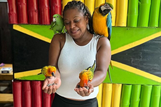 Montego Bay Exotic Herbs, Birds and Animals Interaction Tour - Pacing, group size, and what to expect socially