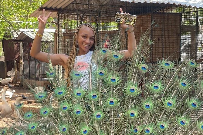 Montego Bay Exotic Herbs, Birds and Animals Interaction Tour - Getting to Ironshore: pickup, timing, and how the day flows