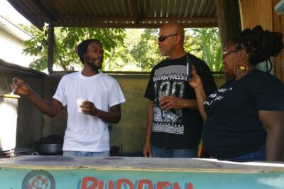 Montego Bay hi lite and culture tour - Your 3-Hour Route: From Early Settlement to Modern Jamaica