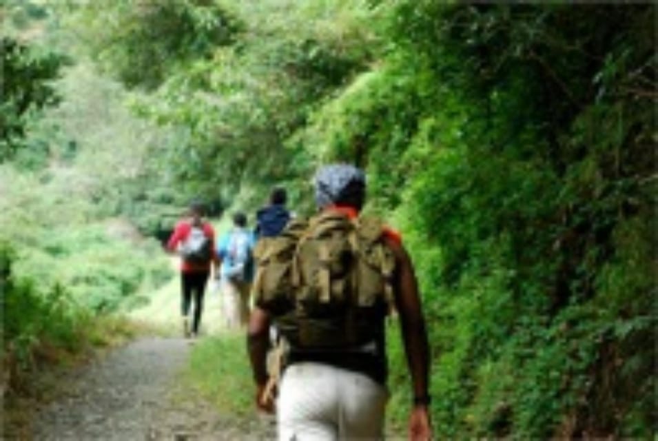 Montego bay Highlight Tour - Should you book this Montego Bay Highlight Tour?