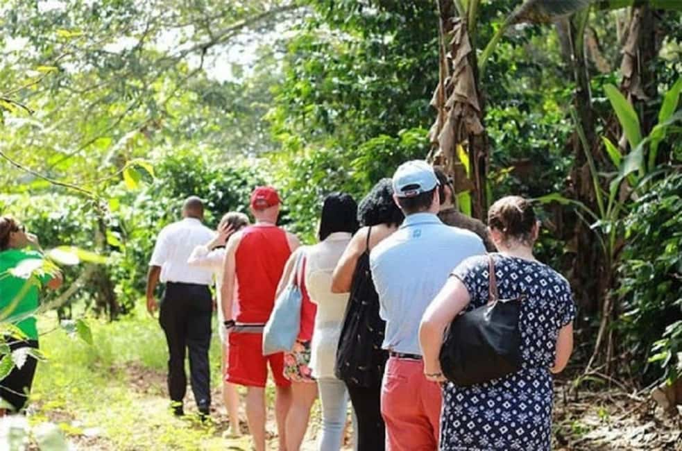 Montego bay Highlight Tour - Who should book this Montego Bay Highlight Tour