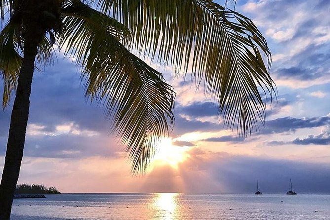 Montego Bay Highlights Tour from Montego Bay - Sam Sharpe Square and the Cultural Center: Meaning Behind the Sights