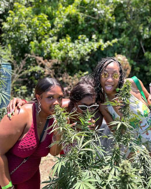 Montego Bay: Marijuana Farm and Bird Sanctuary Tour - Key Things to Know Before You Go