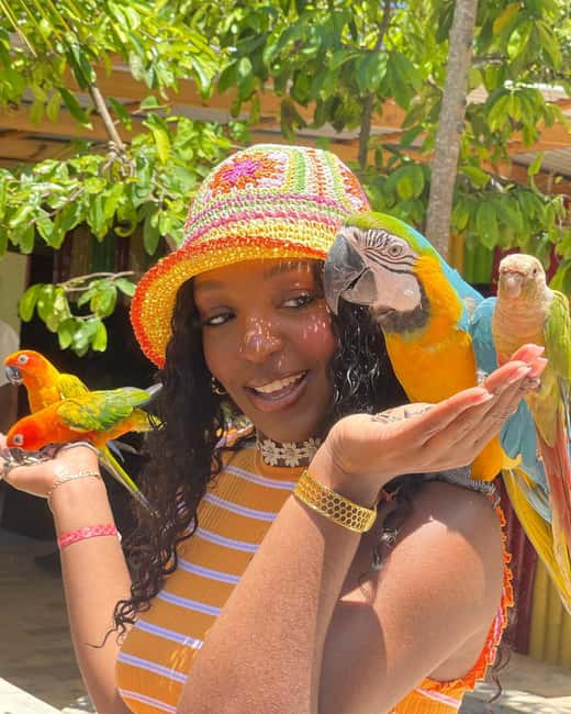 Montego Bay: Marijuana Farm and Bird Sanctuary Tour - Should You Book the Montego Bay Herb Farm and Bird Tour?