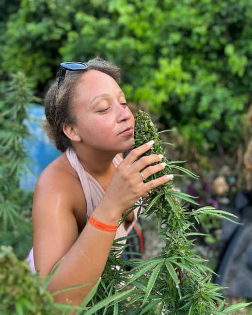 Montego Bay: Marijuana Farm and Bird Sanctuary Tour - The Herb Farm Nursery: Smell the Plants and Learn Seed-to-Sale