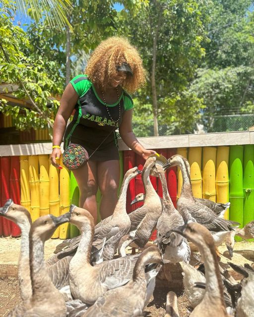 Montego Bay: Marijuana Farm and Bird Sanctuary Tour - Weed Chalice Pipe: Included in the Experience, Not Everyone’s Comfort Zone