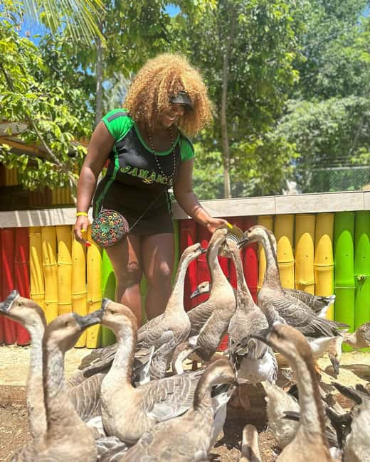 Montego Bay: Marijuana Farm and Bird Sanctuary Tour - Food and the Snack Stop: Easy, but Not Included