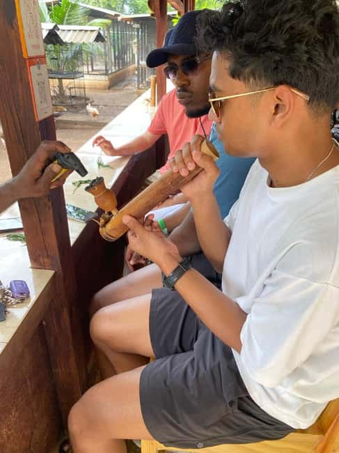 Montego Bay: Marijuana Farm and Bird Sanctuary Tour - Montego Bay Pickup and the Real 3-Hour Clock