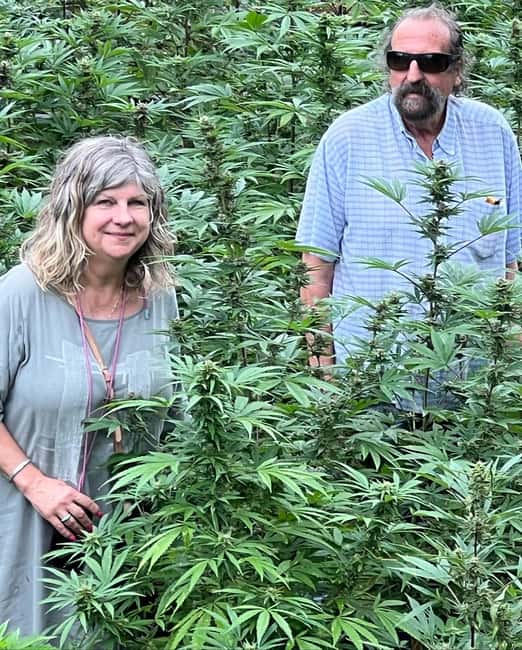 Montego Bay: Marijuana Farm Private Tour with Transportation - Key things to know before you go