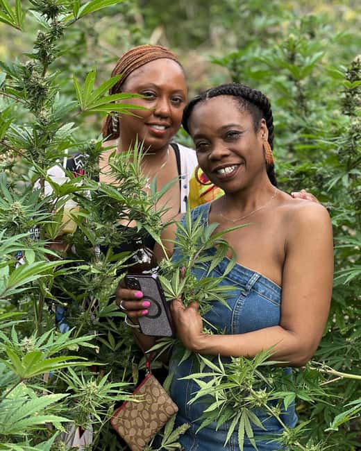 Montego Bay: Marijuana Farm Private Tour with Transportation - Who this tour is best for