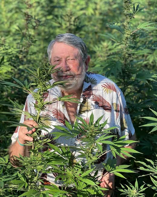 Montego Bay: Marijuana Farm Private Tour with Transportation - Getting from your resort to the farm without fuss