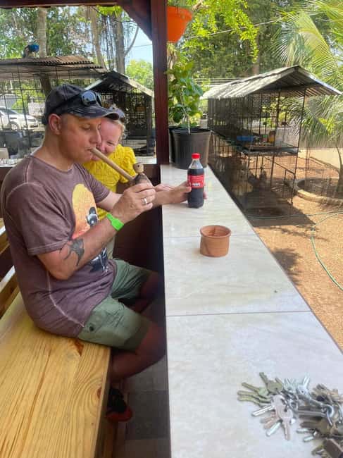 Montego Bay: Marijuana Farm Private Tour with Transportation - Getting answers: medicinal properties, legal status, and culture