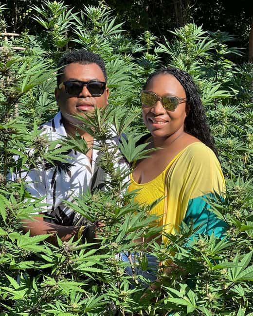 Montego Bay Marijuana Farm Tour - Should you book the Montego Bay Marijuana Farm Tour?