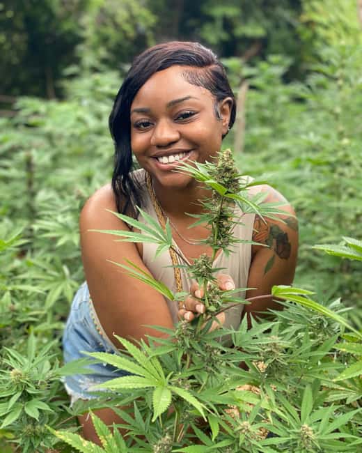 Montego Bay Marijuana Farm Tour - Getting there from Montego Bay: pickup, road time, and what to expect
