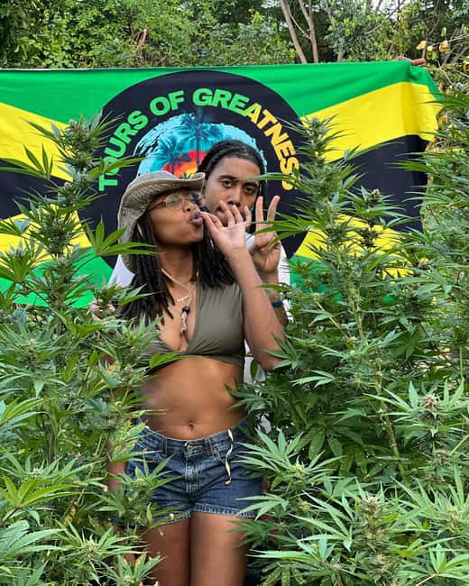 Montego Bay Marijuana Farm Tour - What you learn beyond plants: Rastafari culture and medicinal uses