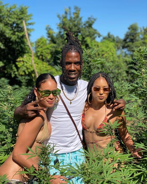Montego Bay Marijuana Farm Tour - Photos in the fields: getting the best shots without slowing the group