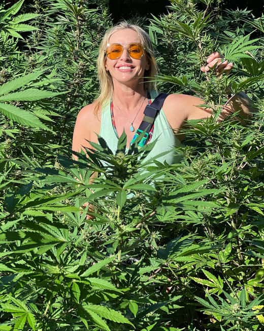 Montego Bay Marijuana Farm Tour - The end of the tour: souvenir stops and possible sampling
