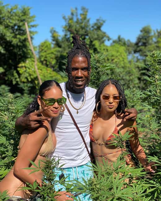 Montego Bay Marijuana Farm Tour - Price and value: is $140 per person fair for a 1–2 hour tour?