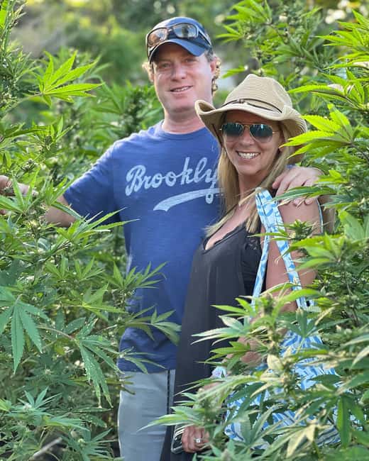 Montego Bay Marijuana Farm Tour - Best fit: who this tour suits (and who should skip it)