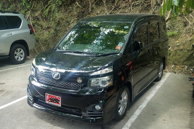 Montego Bay Private Airport Transfer - Key Highlights You’ll Feel Right Away