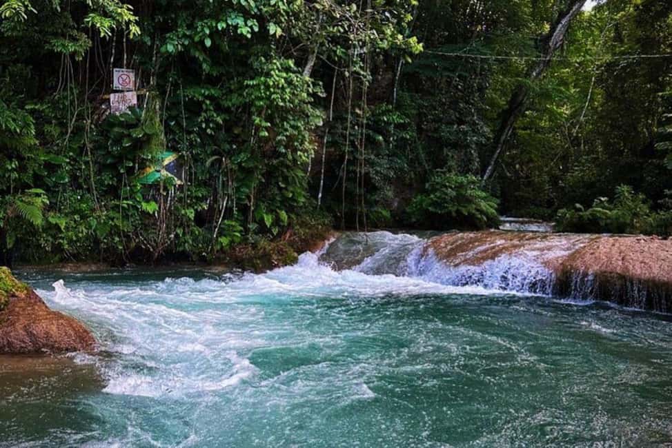 Montego Bay: Private Dunn's River Falls and Blue Hole Tour - Key highlights before you go
