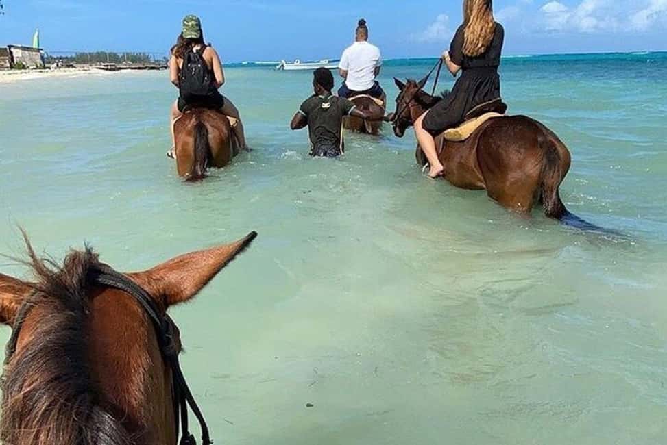 Montego Bay: Private Horseback Ride & Blue Hole Tour - Key moments that make this tour worth your attention