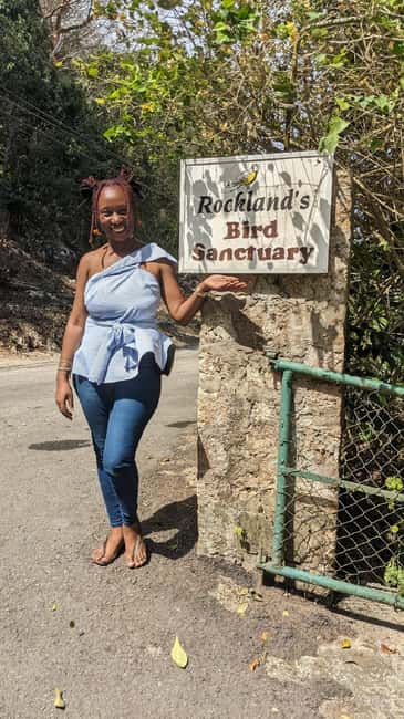 Montego Bay: Private Rocklands Bird Sanctuary Trip - The Feeder Hour: Hand-Feeding Hummingbirds and Jamaica’s Tame Birds