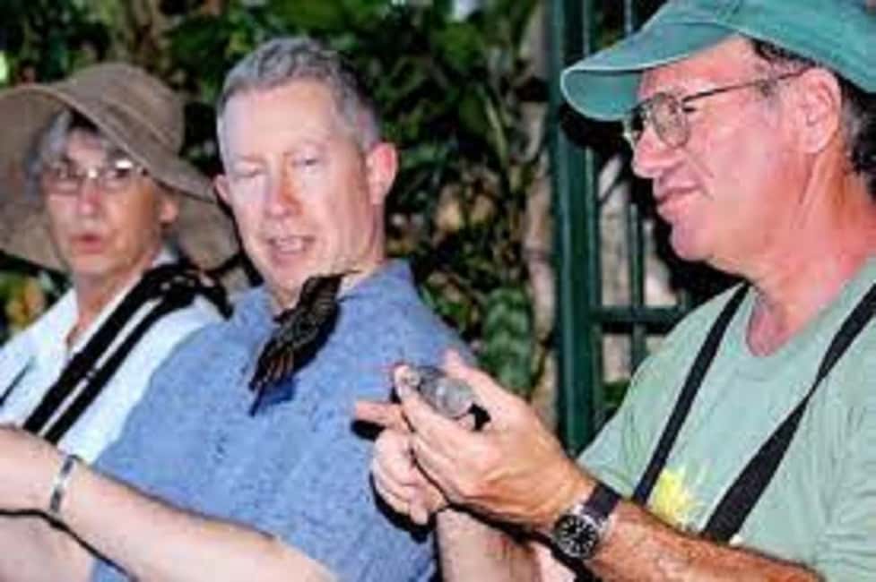 Montego Bay: Private Rocklands Bird Sanctuary Trip - Bird-Watching Strategy: How to Get the Most in Two Hours