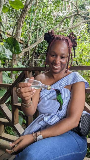 Montego Bay: Private Rocklands Bird Sanctuary Trip - FAQ