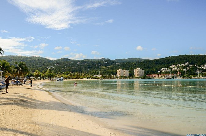 Montego Bay Sightseeing and Shopping Tour - Price and logistics: why $66.67 feels fair here