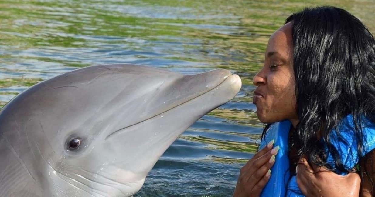 Montego Bay: Swim With The Dolphins Adventure in Lucea - Key Highlights to Know Before You Go