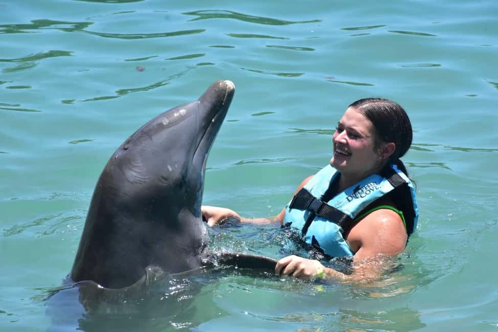 Montego Bay: Swim With The Dolphins Adventure in Lucea - What You Really Get: Dolphins, Dolphin Cove, and a Private-Lagoon Kayak