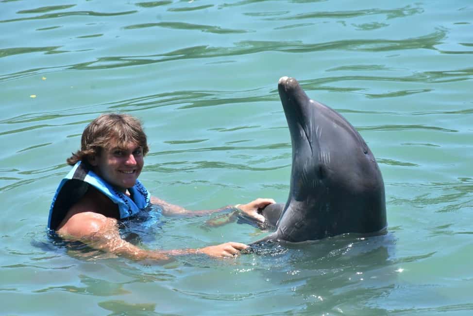 Montego Bay: Swim With The Dolphins Adventure in Lucea - Encounter vs Swim Adventure: Choose the Right Dolphin Option