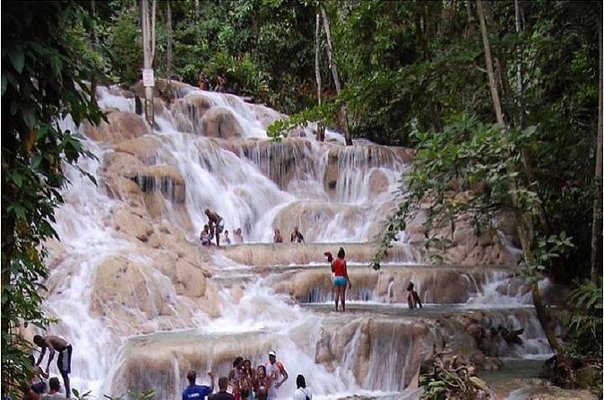 Montego Bay to Dunn's River Falls Half-Day Trip - Pickup, Transport, and Bus Stops: The Stuff That Makes or Breaks the Day