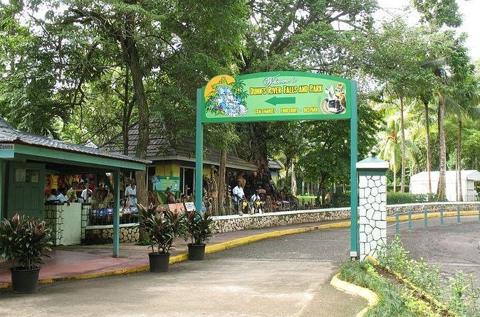 Montego Bay to Dunn's River Falls Half-Day Trip - Who Should Book This Dunn’s River Falls Tour?