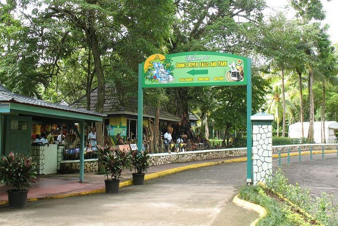 Montego Bay to Dunn's River Falls Half-Day Trip - Should You Book Nexus Tours Jamaica for Dunn’s River Falls?