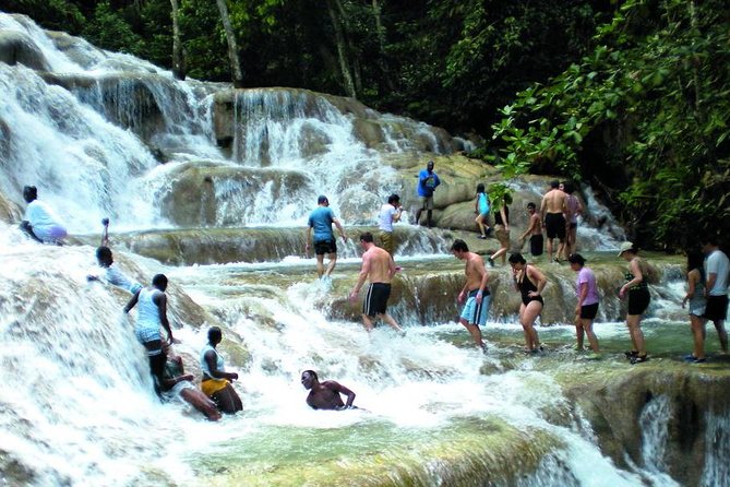 Montego Bay to Dunn's River Falls Half-Day Trip - The Swim + Assisted Waterfall Climb: Wet Feet, Real Adventure