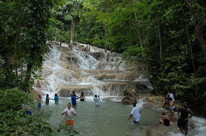 Montego Bay tour: Dunn's River Falls - Who Should Book This Dunn’s River Falls Tour?