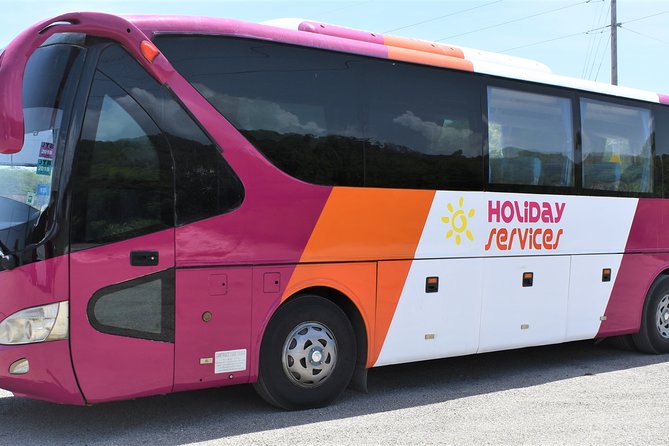 MontegoBay Airport to Ocho Rios: One way/Round Trip cheap Shuttle - Price and Value: Is $29 Really a Good Deal?