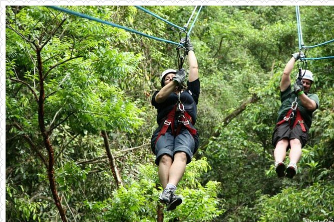 Mystic Mountain Tour from Montego Bay - From Montego Bay to Mystic Mountain: The Real Point of This Tour